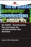 EU GDPR : Ramification des principes de confidentialité des données