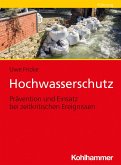 Hochwasserschutz (eBook, PDF)
