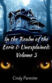 In the Realm of the Eerie & Unexplained: Volume 3 (eBook, ePUB)