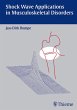 Shock Wave Applications in... - Bild 1