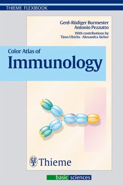 Color Atlas of Immunology (eBook, ePUB) - Burmester, Gerd R.; Pezzutto, Antonio