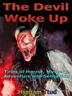The Devil Woke Up (eBook, ePUB) - Ttud, Hseham