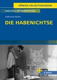 Die Habenichtse von Katharina Hacker - Textanalyse und Interpretation (eBook, ePUB)