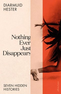 Nothing Ever Just Disappears (eBook, ePUB) - Hester, Diarmuid