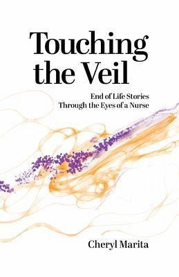 Touching the Veil (eBook, ePUB)