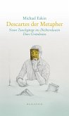 Descartes der Metapher (eBook, PDF)