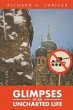 Glimpses of an Uncharted Life (eBook,... - Bild 1