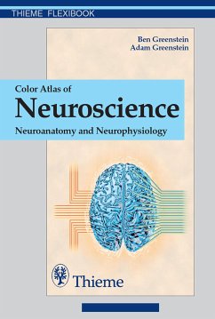 Color Atlas of Neuroscience (eBook, PDF) - Greenstein, Ben D.; Greenstein, Adam