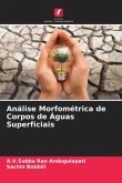 Análise Morfométrica de Corpos de Águas Superficiais