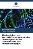 Abhängigkeit der Korrekturfaktoren für die Inhomogenität des Gewebes von der Photonenenergie