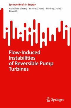 Flow-Induced Instabilities of Reversible Pump Turbines - Zheng, Xianghao;Zhang, Yuning;Li, Jinwei