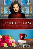 Tikkun Olam (eBook, ePUB)