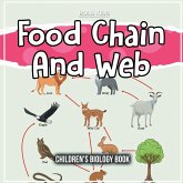 Food Chain And Web