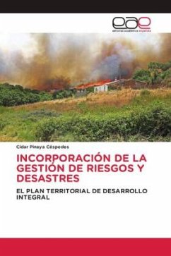 INCORPORACIÓN DE LA GESTIÓN DE RIESGOS Y DESASTRES - Pinaya Céspedes, Cídar