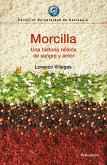 Morcilla (eBook, ePUB)