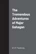 The Tremendous Adventures of Major... - Bild 1