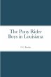 The Pony Rider Boys in Louisiana - Bild 1