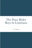 The Pony Rider Boys in Louisiana