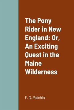 The Pony Rider in New England - Patchin, F. G.