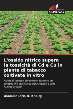 L'ossido nitrico supera la tossicità di Cd e Cu in piante di tabacco coltivate in vitro - Khairy, Alaaldin Idris H.