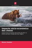 Impacto sócio-económico das cheias