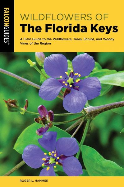 Wildflowers of the Florida Keys (eBook, ePUB)