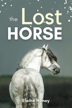 The Lost Horse - Book 6 in the Connemara Horse Adventure Series for Kids - Heney, Elaine