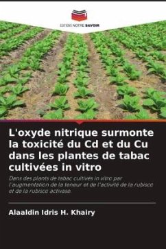 L'oxyde nitrique surmonte la toxicité du Cd et du Cu dans les plantes de tabac cultivées in vitro - Khairy, Alaaldin Idris H.