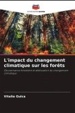 L'impact du changement climatique sur les forêts