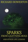 Sparks from Lightning Bugs and Other Life Lessons