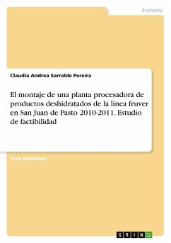 El montaje de una planta procesadora de productos deshidratados de la línea fruver en San Juan de Pasto 2010-2011. Estudio de factibilidad
