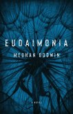 Eudaimonia (eBook, ePUB)