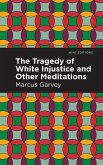 The Tragedy of White Injustice and Other Meditations (eBook, ePUB)