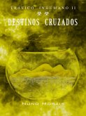 Destinos cruzados (eBook, ePUB) Destinos cruzados (eBook, ePUB)