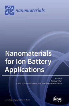 Nanomaterials for Ion Battery Applications