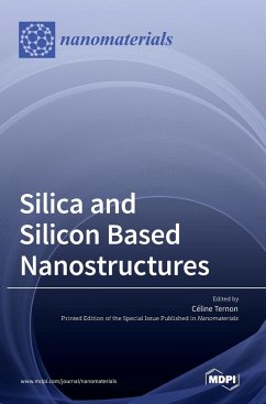 Silica and Silicon Based Nanostructures