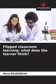 Flipped classroom learning: what does the learner think?
