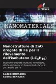 Nanostrutture di ZnO drogate di Fe per il rilevamento dell'isobutano (i-C4H10)