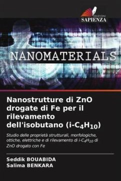 Nanostrutture di ZnO drogate di Fe per il rilevamento dell'isobutano (i-C4H10) - BOUABIDA, Seddik;BENKARA, Salima