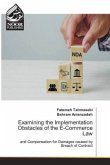 Examining the Implementation Obstacles of the E-Commerce Law