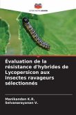 Évaluation de la résistance d'hybrides de Lycopersicon aux insectes ravageurs sélectionnés