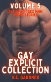 Gay Explicit Collection - Volume 5 (eBook, ePUB)