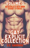 Gay Explicit Collection - Volume 3 (eBook, ePUB)