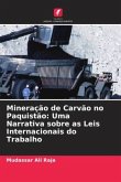 Mineração de Carvão no Paquistão: Uma Narrativa sobre as Leis Internacionais do Trabalho