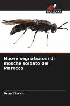 Nuove segnalazioni di mosche soldato del Marocco - Yimlahi, Driss