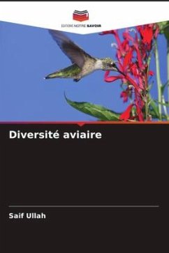 Diversité aviaire - Ullah, Saif