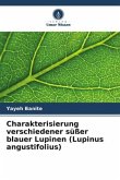 Charakterisierung verschiedener süßer blauer Lupinen (Lupinus angustifolius)