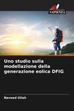 Uno studio sulla modellazione della generazione eolica DFIG - Ullah, Naveed