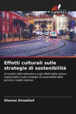 Cover Effetti culturali sulle strategie di sostenibilità