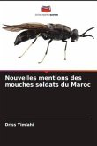 Nouvelles mentions des mouches soldats du Maroc